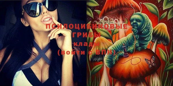 СК Тайга