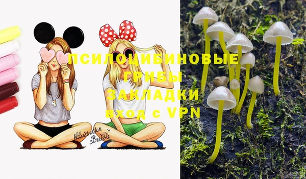 2c-b Бугульма