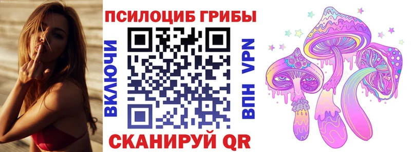 Галлюциногенные грибы MAGIC MUSHROOMS  Княгинино 